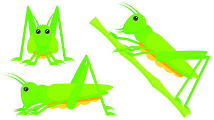 Set Abstract Collection Flat Cartoon Different Animal Grasshopper Stand, Creers Over The Plant Vector Design Style Elements Fauna Wildlife