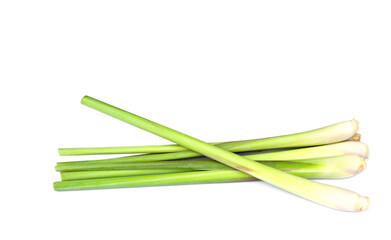 Fresh organic lemongrass isolated on white background. Concept : Thai herb ingredient vegetable for cooking food or beverage. Agriculture crops. Easy to grow.