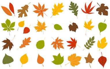 Fototapeta premium autumn leaves set in flat design, isolated