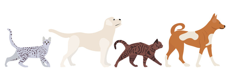 cats and dogs walking in flat design, isolated vector