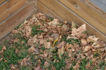 wooden corner with dry leaves and dirty in a park