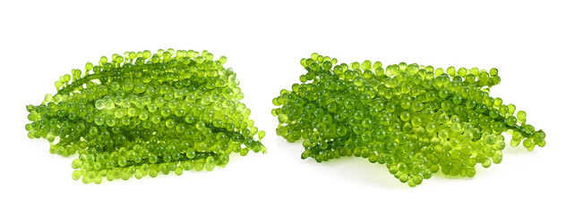 Umi-budou, grapes seaweed or green caviar isolated on white background © akepong srichaichana