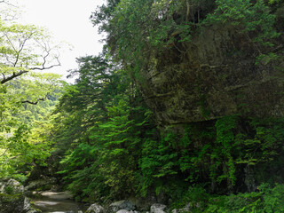愛媛県内子町　小田深山渓谷　腰のばし岩