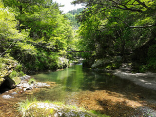 愛媛県内子町　小田深山渓谷　廻り岩周辺の風景