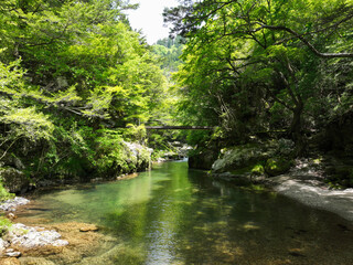 愛媛県内子町　小田深山渓谷　廻り岩周辺の風景