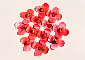 Сomposition of strawberry slices on geometric red background