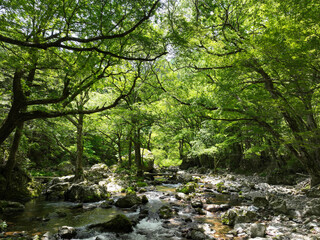 愛媛県内子町　小田深山渓谷　五色河原