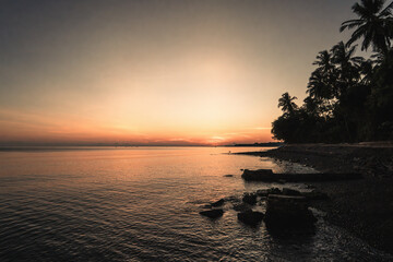 Fototapeta na wymiar Beautiful beach sunset with with dark trees silhouette