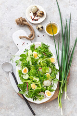 Fresh spring salad with lettuce, cucumbers and radishes	