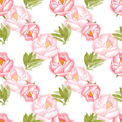 Handdrawn peony flowers seamless pattern. Watercolor pink peony on the white background. Scrapbook design, typography poster, label, banner, textile.