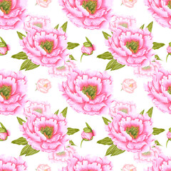 Handdrawn peony flowers seamless pattern. Watercolor pink peony with green leaves on the white background. Scrapbook design, typography poster, label, banner, textile.