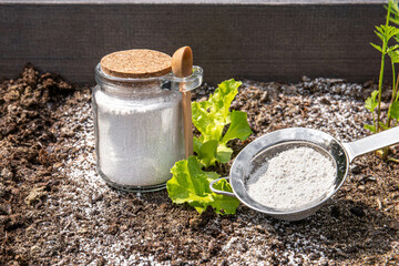 Diatomaceous earth( Kieselgur) powder for non-toxic organic insect repellent on salad in vegetable...
