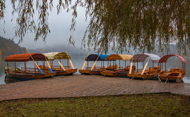 Foggy and mystic autumn at lake Bled in Slovenia