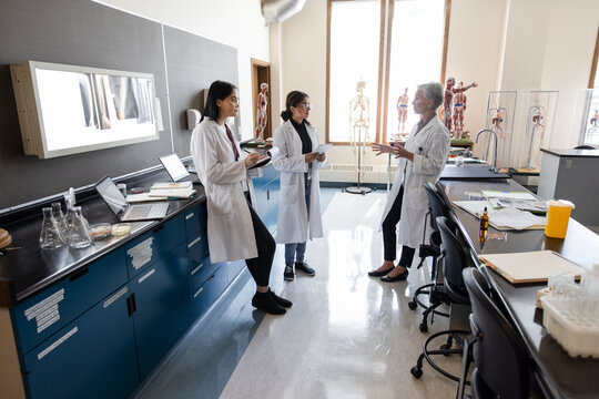 Female College Professor And Students Talking In Science Laboratory