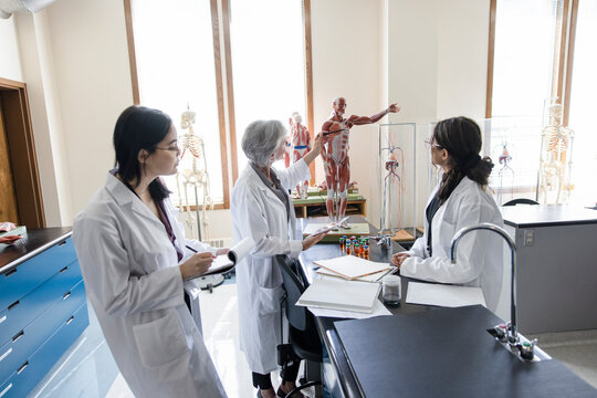 Female college professor and students in anatomy laboratory