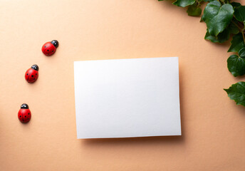 invitation card mockup , for engagement or childrens party ,pink  background with ladybird and ivy  .