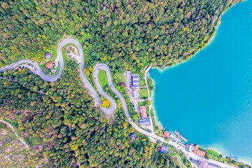 Road through forest in autumn. Aerial Drone Shot