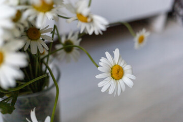 Obraz premium Bouquet of white daisies in a vase
