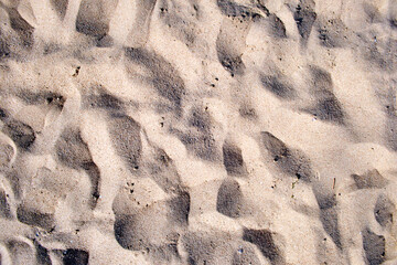Flat view of clean yellow sand surface covering seaside beach. Sandy texture