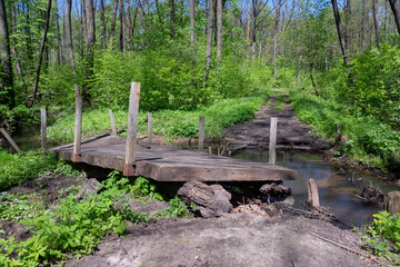 Old wooden bridge across the river in the spring forest. Spring, sun.