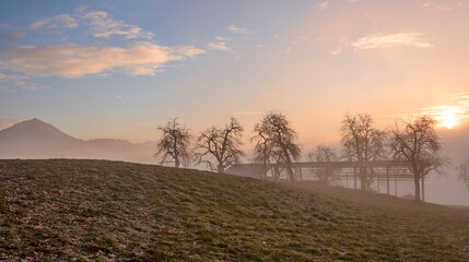 Misty sunrise over the farmlands of Slovenia. Sunlight is penetrating the trees and bushes.