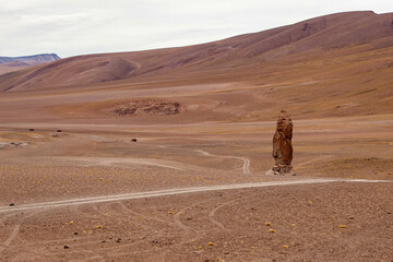 Salar de Tara in the Atacama Desert