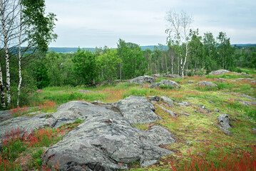 Nature Park in the north of Russia, in Karelia