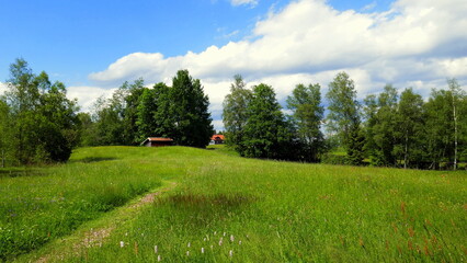 Wiesenweg in herrlicher Landschaft in Bayern am Waldrand unter blauem Himmel mit weißen Wolken