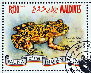 Maldives - circa 2014 : Cancelled postage stamp printed by Maldives, that shows Frog of the Indian...