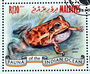 Maldives - circa 2014 : Cancelled postage stamp printed by Maldives, that shows Frog of the Indian...