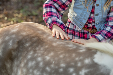 A child touches the back of a dappled pony