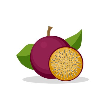 Passion fruit illustration image. Passion fruit icon, fruit