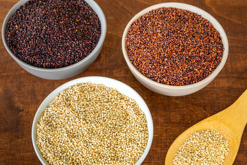 Quinoa of different colors: white, red and black in a bowl. Healthly gluten free grains.