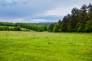 Fototapeta na wymiar a wide green meadow