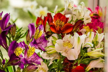 a large bouquet of multi-coloured alstroemerias