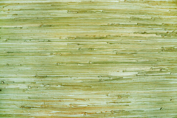 close up of the green  bamboo grass wicker wall background
