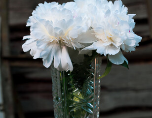 Peonies, bright beautiful flowers close-up. A peony flower in a crystal vase on the background of old wooden boards.