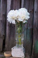 Peonies, bright beautiful flowers close-up. A peony flower in a crystal vase on the background of old wooden boards.
