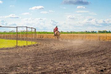 Horse riding on dry dusty soil, Slovakia, Europe