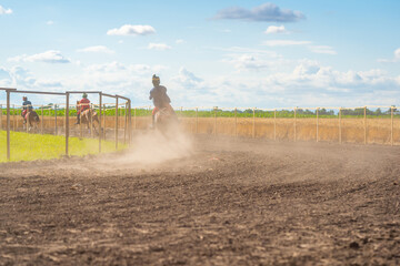 Fototapeta na wymiar Horse riding on dry dusty soil, Slovakia, Europe
