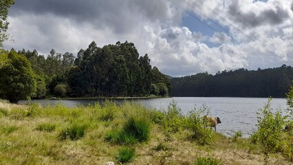 Laguna en el interior de Galicia
