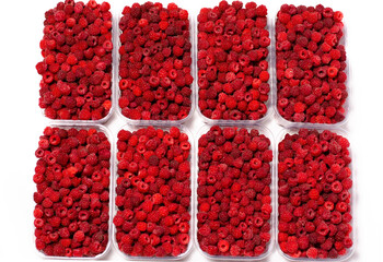 Ripe red fragrant raspberries collected in a farm in a transparent container for sale.