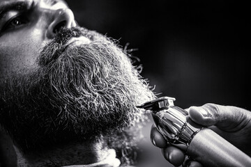 Bearded man in barbershop. Man visiting hairstylist in barbershop. Barber works with a beard clipper. Hipster client getting haircut. Hands of a hairdresser with a beard clipper, closeup - obrazy, fototapety, plakaty