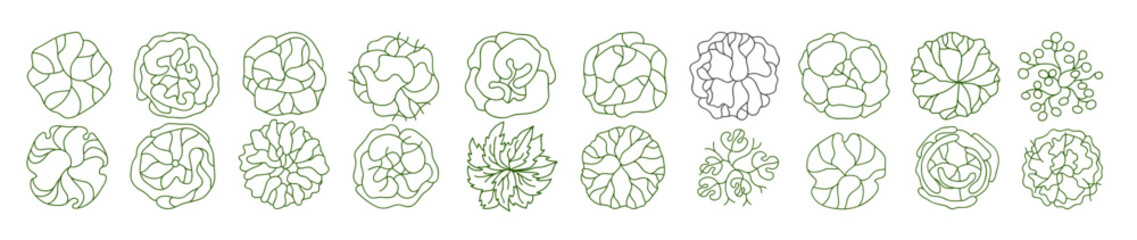 Tree for architectural floor plans. Entourage design. Various trees, bushes, and shrubs, top view for the landscape design plan. Vector illustration.