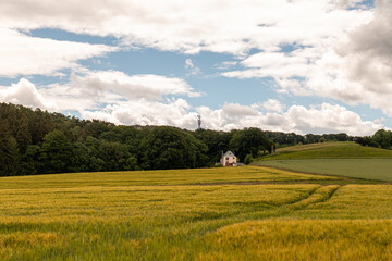 Beautiful summer landscape of Ruhr area in Germany. Small house against the backdrop of a wheat field and forest in front of the hill