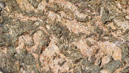 The texture of brown stone.Background with divorces