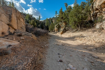 Lick Wash, a Canyon in the White Cliffs of  the Grand Staircase, Utah