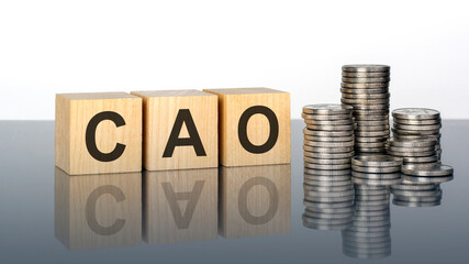 CAO - text on wooden cubes on a cold grey light background with stacks coins