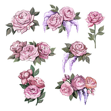 Flowers roses, branches, leaves and buds on an isolated white background, watercolor illustration, floral design