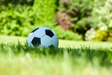 soccer ball on the green field © fox17